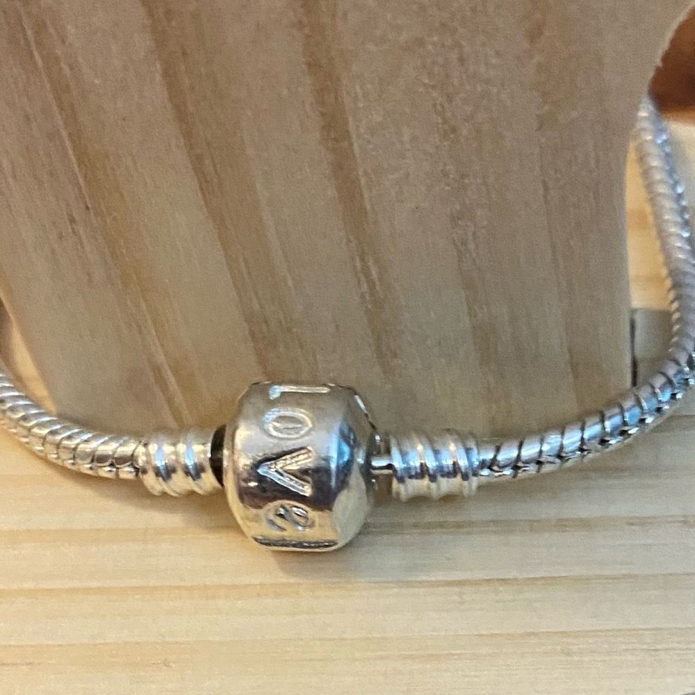 NEW #4 European LOVE snake chain bracelets (1)